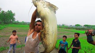 Real Amazing Big Sheat Fish Hunting | Best Polo Fishing