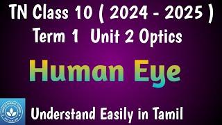 Human Eye - Structure, Working, Power of Accommodation, Persistence of Vision, Far and Near point