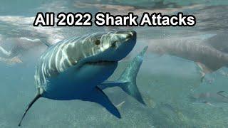 All 2022 Shark Attacks