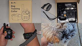 Small Dog Puppy Rechargeable Training E Collar Waterproof Ipx7 Receiver Ipx5 Remote Test and Review