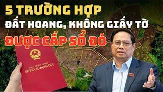 5 TRƯỜNG HỢP ĐẤT KHÔNG GIẤY TỜ ĐƯỢC CẤP SỔ ĐỎ - Luật Đất Đai 2025!