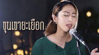 ขุนเขายะเยือก - นิด ลายสือ | cover by แพร