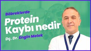 Böbreklerde Protein Kaybı Ne Demektir? - Doç. Dr. Engin Melek