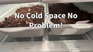 How to Prepare Dahlias and Cannas For Storage in Cold Climates!