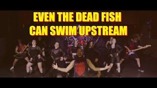 Awake Again - EVEN THE DEAD FISH CAN SWIM UPSTREAM (OFFICIAL MUSIC VIDEO)