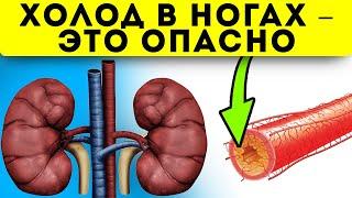 Мерзнут ноги? Вот 10 самых опасных причин почему это происходит! Здоровье сосудов и сердца