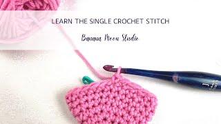 Learn the Single Crochet Stitch