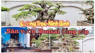 Góc chơi Bonsai- cây cảnh triệu đô của bạn Cường Trọc 0912288581Khánh Cư Yên Khánh-Ninh Bình#bonsai