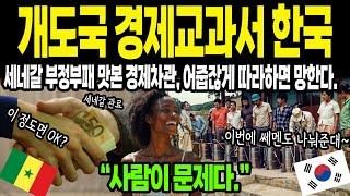 [해외감동사연] 이제 개발도상국의 교과서가 된 한국. 세계은행 "한국 반만 해라" 한국의 비밀!  [감동사연]