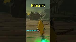 Tears Of The Kingdom Combos Expectation Vs. Reality... #totk #shorts #botw