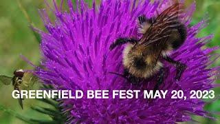 2023 Greenfield Bee Fest promo