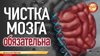 Чистка мозга обязательна. Алексей Орлов