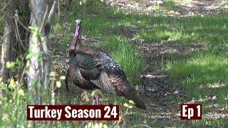 Spring Turkey Hunting 2024 Episode 1 Chasing a ridge running gobbler! #turkeyhunting #hunting