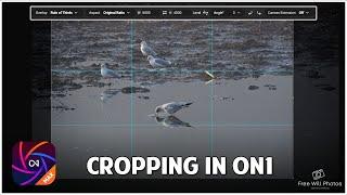 Cropping Images: A Simple Guide for Beginners