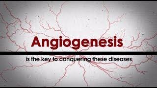 The Angiogenesis Foundation at 20 Years