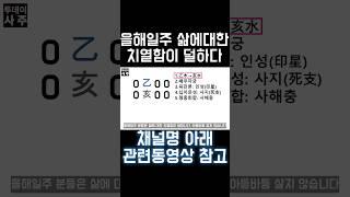 을해일주 특 #사주 #팔자 #사주팔자 #일주론 #2024년 #갑진년 #을해일주