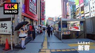 【4K】新宿の大通りをぐるっと散歩 (Aug. 2024) | Walk around the main street of Shinjuku.