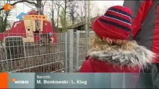 Steuerverschwendung Spielplatz Bergisch Gladbach Refrath - WISO ZDF - 30.1.2012