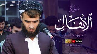 سورة الأنفال كاملة رزكار محمد الكردي Sourate Al-Anfal - Rizgar Muhammad Al Kurdi