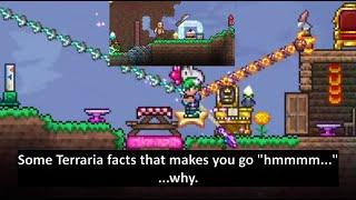 Few Terraria facts that can make your brain bleed... (some cool though!... but why.)