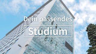 Wirtschaftswissenschaften – Dein passendes Studium