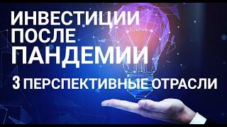 Инвестиции после пандемии: 3 перспективные отрасли