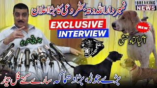 Exclusive Interview Of Numberdar Allah Dita  Panther Group All Dogs Ready |Bary Jor aur Bary Dhamka