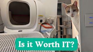 1 Year with Automatic Cat Litter Box - Petkit's Robot Pura Max Reviewed