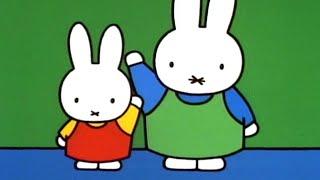 Miffy Macht Einen Besuch | Miffy | Kostenlose Kindershows