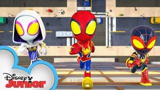 Marvel's Spidey and his Amazing Friends Theme Song (Web-Spinners Version) | @disneyjr