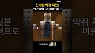 냉전이라도 그렇지ㅋㅋㅋㅋ 아니 너무 생각이 신박하잖아... [서치9 10회]