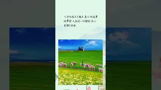 良心永远贵过黄金 @#现实生活中的名言 @#人生感悟@ #正能量 @#励志@#情感@#硬笔书法