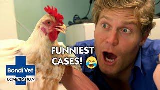 Bondi Vet's Funniest Cases  | Compilation | Bondi Vet