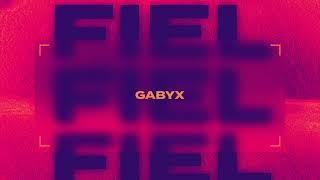 Gabyx-Fiel