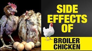 இதை சாப்பிடலாமா??? | WHY WE SHOULD NOT EAT BROILER CHICKENS? | Broiler Chicken Side Effects in Tamil