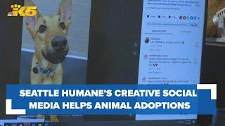 Seattle Humane's creative social media helping boost animal adoptions