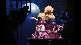 AMADEUS am Saarländischen Staatstheater