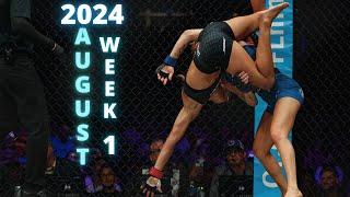 MMA & Boxing Knockouts I August 2024 Week 1