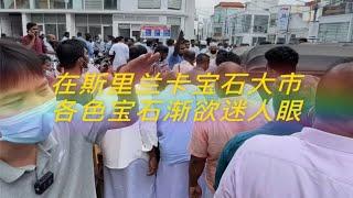 在斯里兰卡宝石大市，各色宝石渐欲迷人眼…