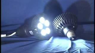PAR30 LED Bulb