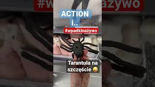 Action #wpadkinażywo #haha #shorts #conowego1313 #śmieszne #conowego #beka #