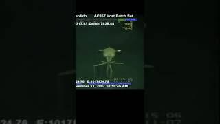 HORRIFIC NEW CREATURE DISCOVERED IN MEXICO…