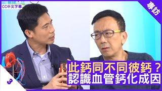 此鈣同不同彼鈣？認識血管鈣化成因 - 鄭丹瑞《健康旦》心臟科專科醫生 #盧家業 Part 3 (CC中文字幕)