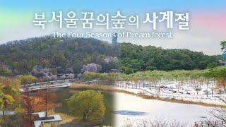 북서울꿈의숲, 아름다운 사계절을 여러분께 소개합니다! (The Four Seasons of Dream forest) ㅣ서울의 공원