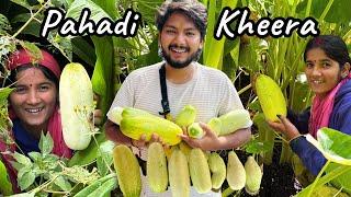 Bhabhi ने ढेर सारी पहाड़ी ककड़ी दे दी  Pahadi Uttarakhand Food | Suyash Aswal