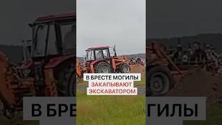 В Бресте могилы закапывают экскаватором