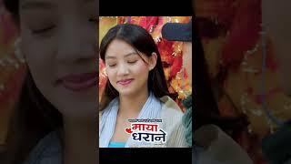 MAYA DHARANE | OmPrakash Gurung, Bimala Khajum, Harka Sampang | Melina Mainali | Nepali Song 2024