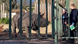 A Day Out at Edinburgh Zoo 13 February 2024