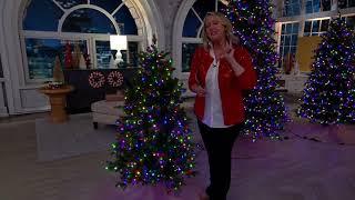 Home Reflections Color Flip Fairy Light Christmas Tree on QVC