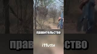 Нас 20 тысяч и мы идем разбираться